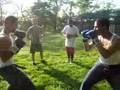 wiley vs osmel round 1