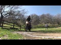 BMW GS Experience 1/2
