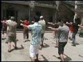 Saam Bo Gin - Chow Gar Southern Praying Mantis Kung Fu