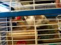 Oliver eatin\ Oliver eatin\