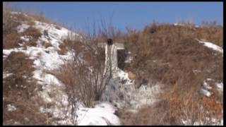 6 марта произошел аварийный сброс нечистот в реку Белая