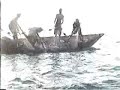 Gold Mohur. Tawahi. Aden.Yemen. الساحل الذهبي. عدن. اليمن