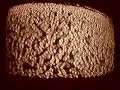 Experimental Video Feedback