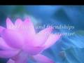 Journeys of Love &amp; Friendship