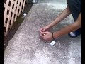 re-our-smoke-bomb-.html