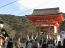 kiyomizu temple, nara deer park