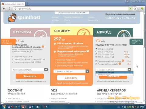 YouTube �������