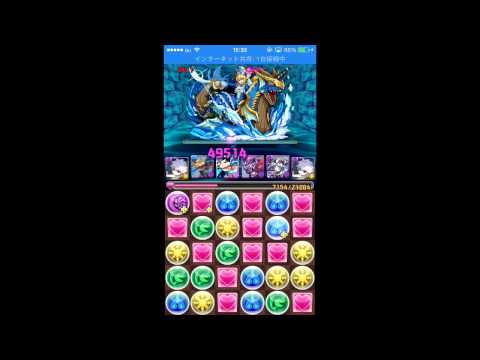 パズドラ【蒼の海賊龍】地獄級 キルアPT(周回用)(理事長)