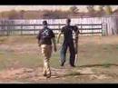 total-fight-challenge-v-feb-18-2006-dan-h.html
