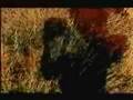 Bryce Isbell - Four Pills