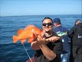 We had a great day fishing with Mark and the boys. The exotics were a no show but we did have some nice rockfish. Fun was had by all!