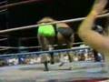 Wendi Richter vs Sasha