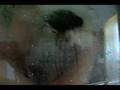 Chien nage dans douche