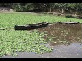 Visita Quistococha - Iquitos - Perú