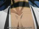 Ichigo vs Zaraki - Animals they have become