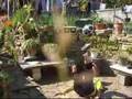Samuele Campitiello Freestyler - Sit down tricks