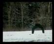Billy Blanks entraînement - film d'action