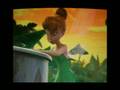Verito_tinkerbell.avi
