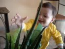Fofuxo da vovó e do papai
