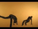 Capoeira Angola Capoeira Angola