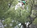 Seneca Pine Climb (part 2) Seneca Pine Climb (part 2)