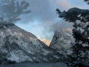 Wolf Howl