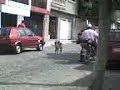 NO PUEDE JAJAJA