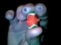 Walter melon