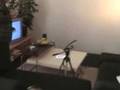 Smart Table - Communication system for elderly