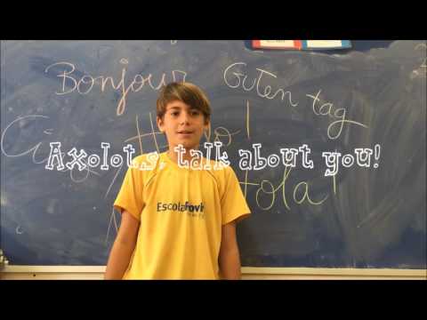 Imatge de previsualització de YouTube