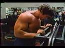 arnold arnold