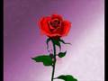 videos de VMA sample FLOWER