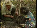 Ray Mears World of Survival: Women Hunters