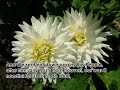 Surah Yassin - Part 1