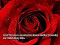 Surah Yassin - Part 1