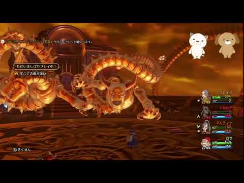 動画