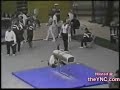 Gimnastica