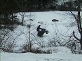 4 wheelers wheelies