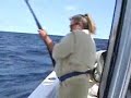 88lb Wahoo 88lb Wahoo