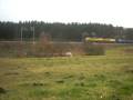 videos de HLD L24