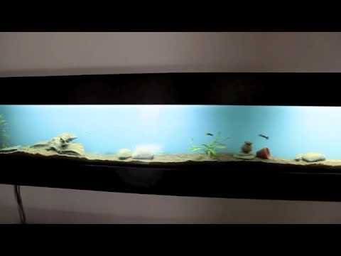 Video of Ca Preziosa