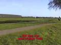 Ijslands gangen paard