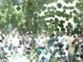 PARRAL  2009 [BurgoS]