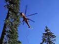 Single Stem Heli Logging