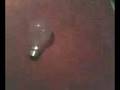 videos de Bulb Smashing (Me)