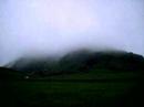 schottland-nebel.html