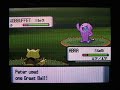 Shiny Wobbuffet w/ Pokeradar PLUS SHINY PATCH