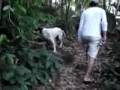 videos de Vung Tau 271208