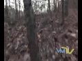 Video Masters TV- Grumble and Glorify- Evil Dead