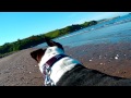Bunny on the Beach 1